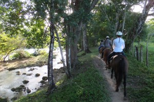 A cheval au bord de la rivière