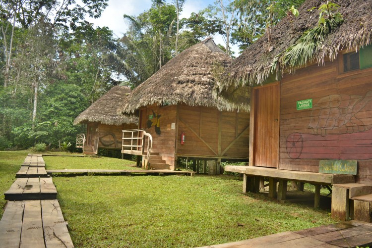 Cabanes - Communauté Shayari Amazonie Equateur
