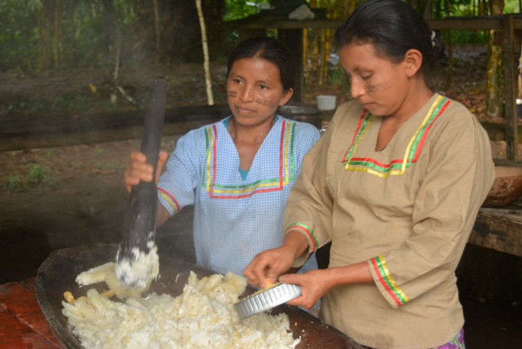 Kichwa women cooking chicha from yuka