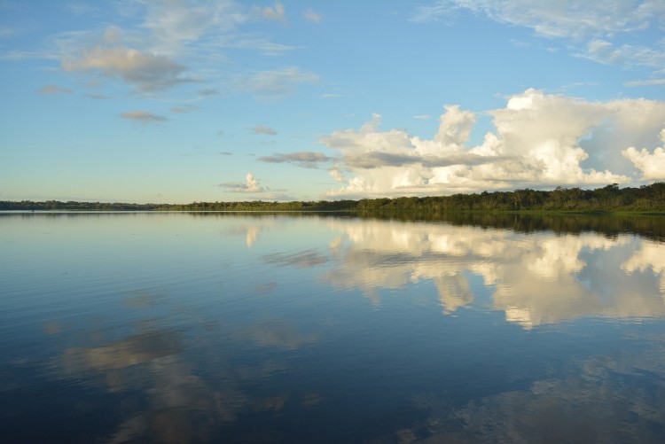 Lagune de la Reserve de Limoncocha, Amazonie, EquateurLagune de la Reserve de Limoncocha, Amazonie, Equateur