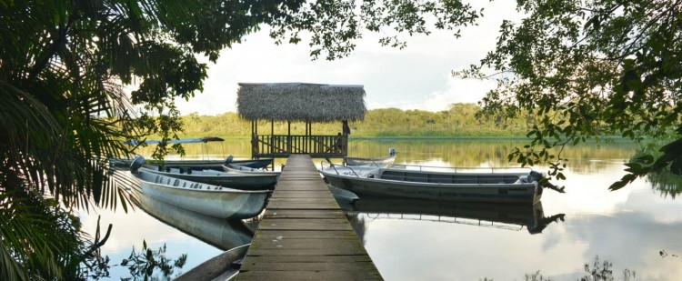 Reserve Limoncocha Amazonia Ecuador