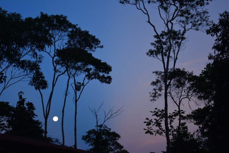 Coucher du Soleil en Amazonie