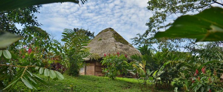 Huasquila Lodge Amazon Ecuador