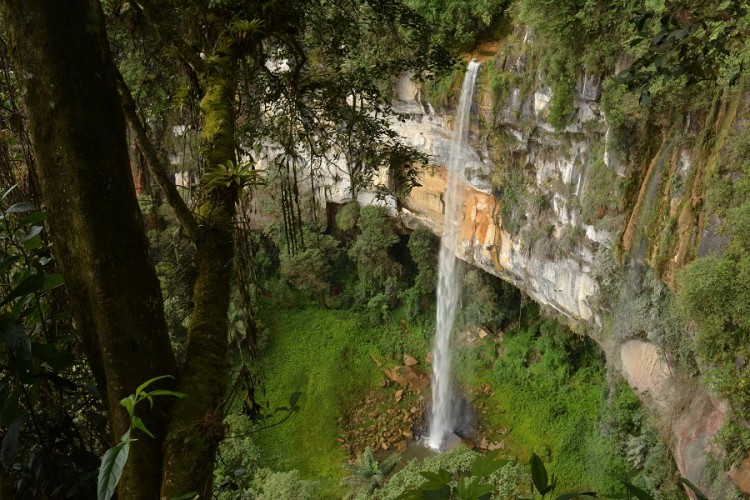Yumbilla 2nd Waterfall Cuispes Peru